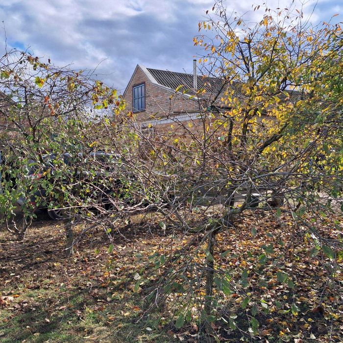 Розкіш Тиші: На Продаж Виставлено Заміський Будинок