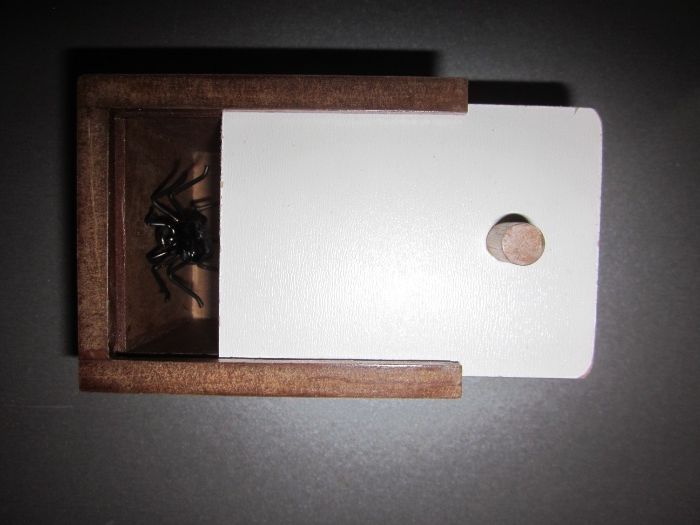 CAIXA com Aranha p/ pregar sustos.