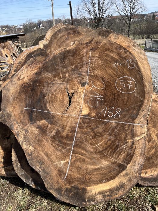 Plastry z drewna egzotycznego