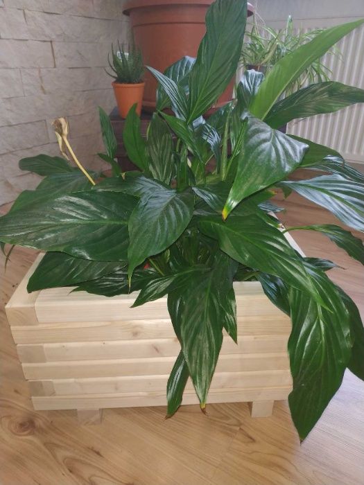 Donica doniczka drewniana ogrodowa , skrzynka na kwiaty