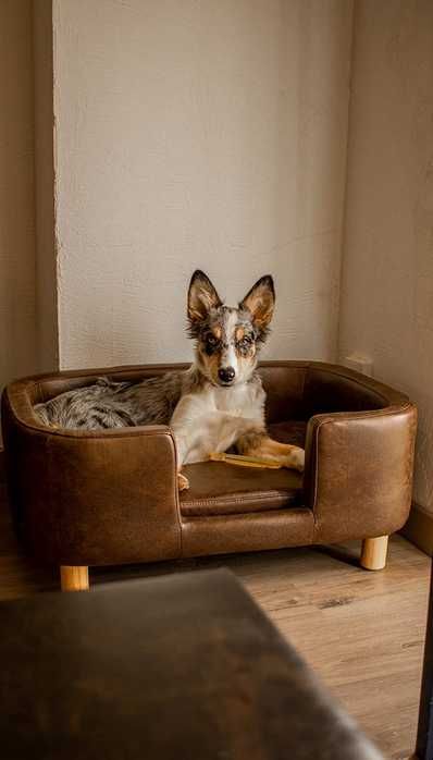 Sofá cama para cães sofá em miniatura 74x48,5x31 cm  NOVO ENVIO GRÁTIS