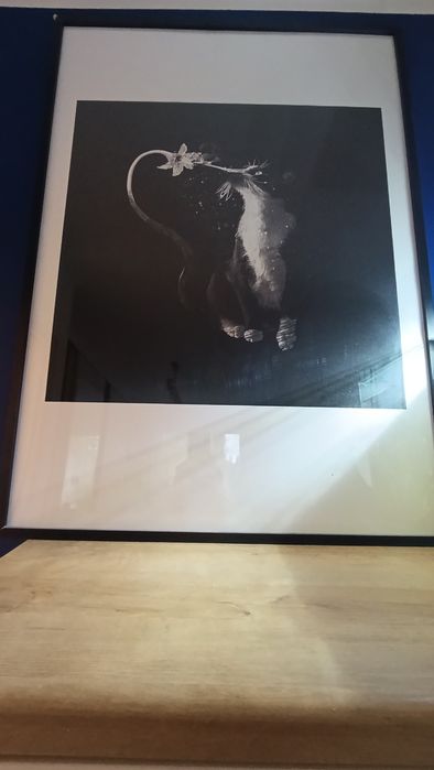 UNIKAT:Grafika cyfrowa Kot z dziobem–dzieło prof.Krzysztofa Marka Bąka