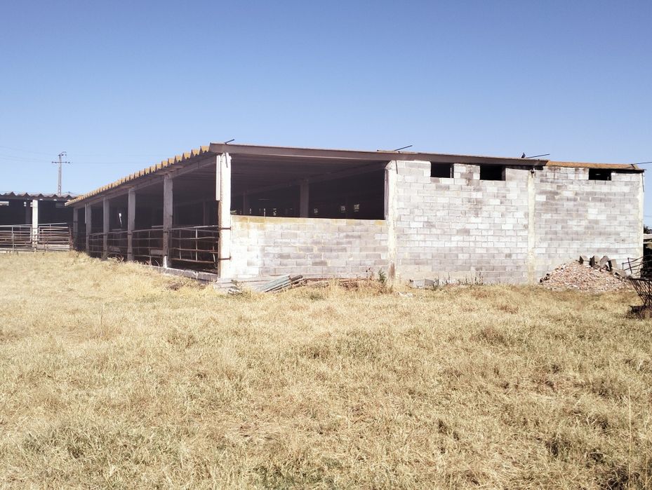 Alugar terreno com armazens