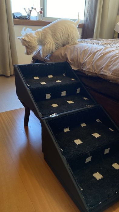 Banco escada / rampa para cães