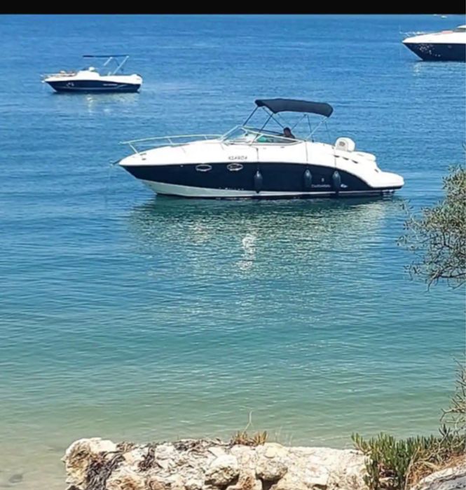 Chapparal 250 Signature luxe