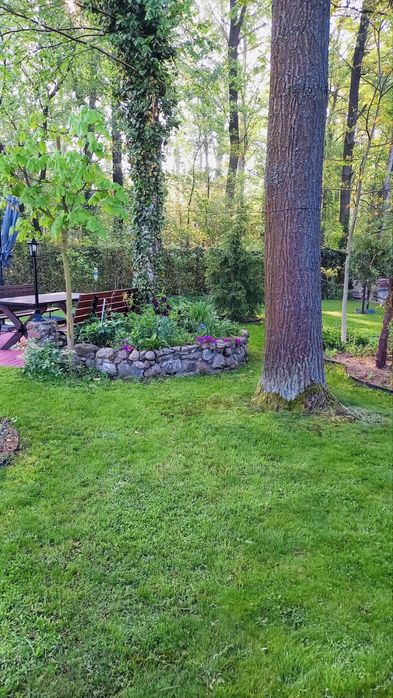 Piękna działka budowlana 2100 m² | Domek | Staw | Media | Anielew