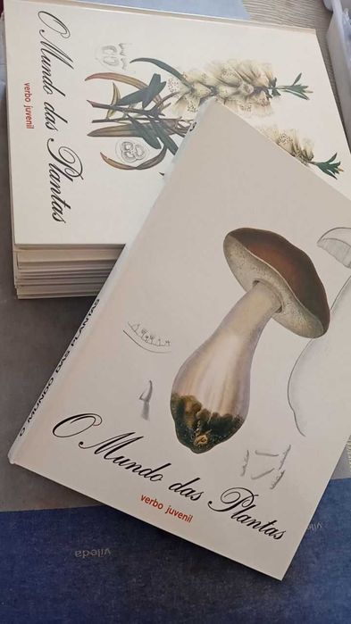 O Mundo das Plantas da Verbo Juvenil - 1971