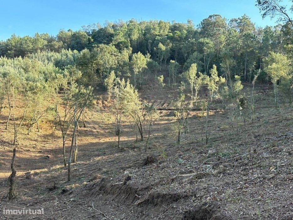 Terreno com 32.000 m2 — Arca E Ponte De Lima, Viana do Castelo