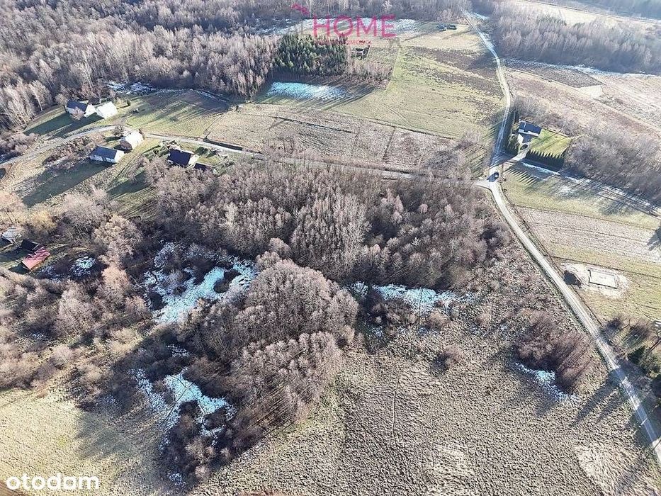 Działka na sprzedaż 94a - Nowy Borek - Więcej