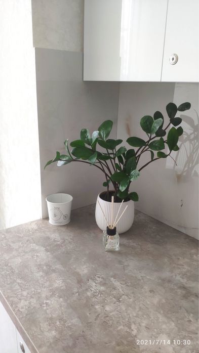 ЖК Арена ,ЖК Great House.район АВТОВОКЗАЛУ,обласна лікарня.Skyliner