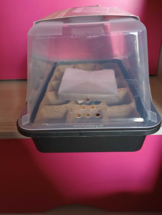 Nowa mini szklarnia