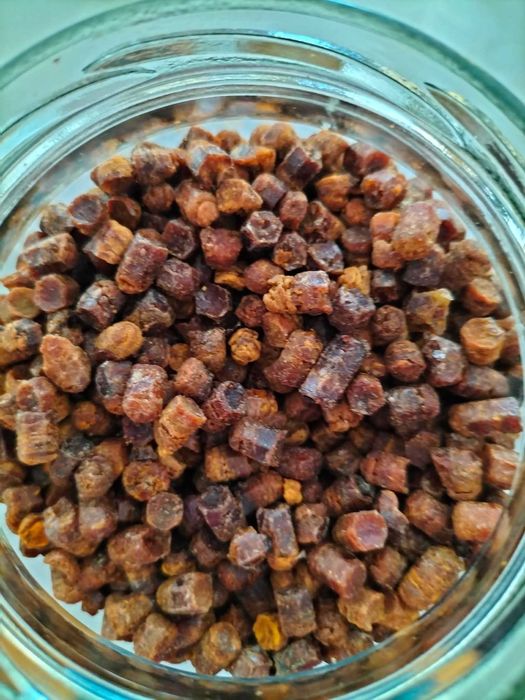 Pierzga pszczela 1 kg darmowa wysyłka