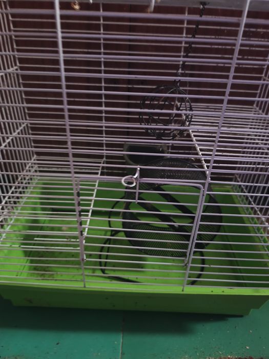Продам клетки для крыс для дего белочек