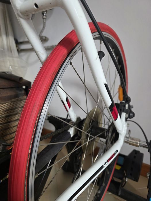 Rolo de Treino IN RIDE 300