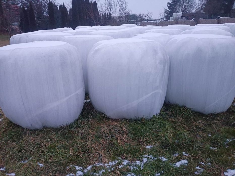 Siano i Sianokiszonka