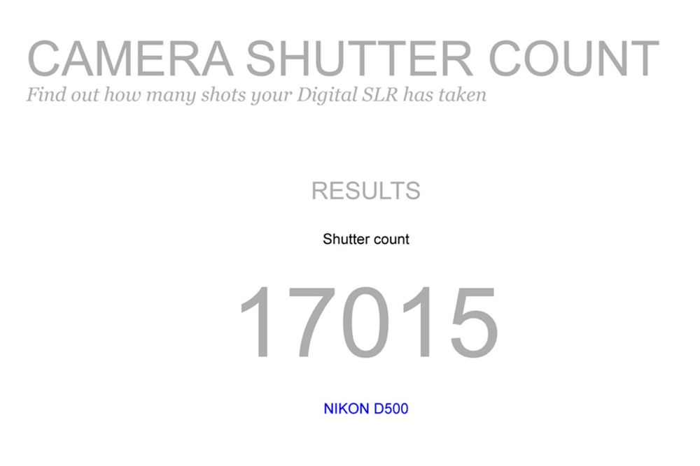 Nikon D500 (17015 disparos)