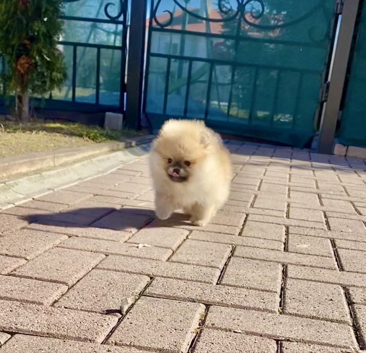 Ексклюзивна дівчинка!