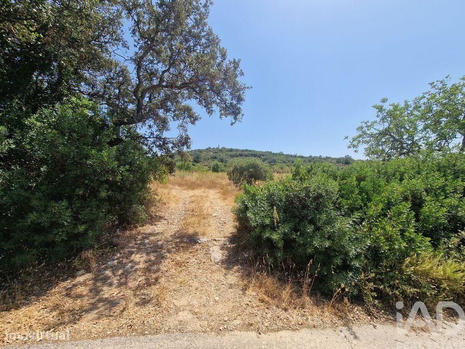 Terreno Agrícola em Santa Bárbara de Nexe
