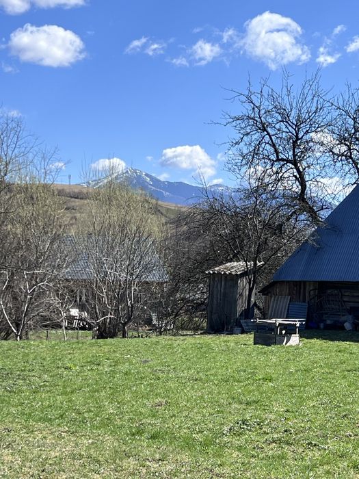 Продається будинок у с. Негровець та 18 сотих