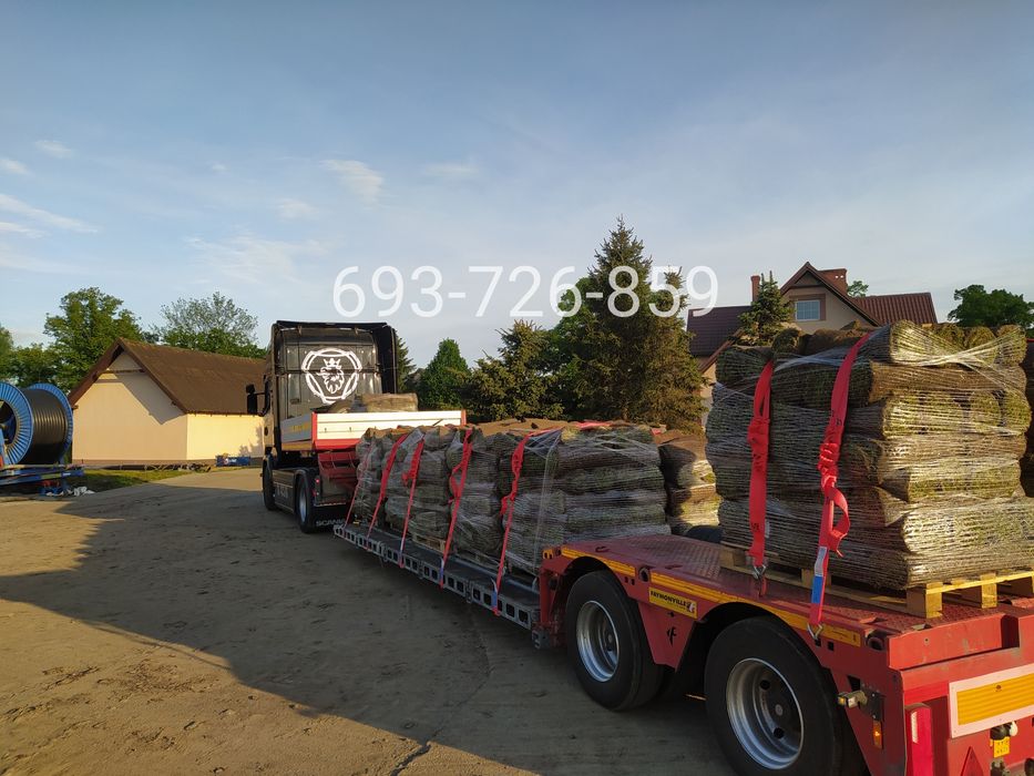 Trawa z rolki - Producent Garden Grass