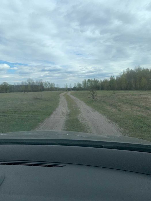 Нижча Дубечня, 2 га, ОСГ. Чудове місце для бізнес-проекту.
