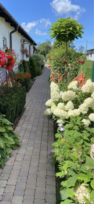 Usługi ogrodnicze i brukarskie