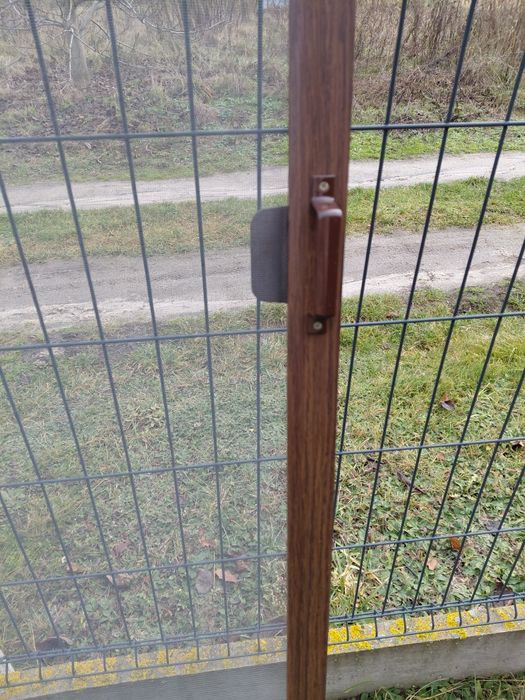 Moskietera balkonowa