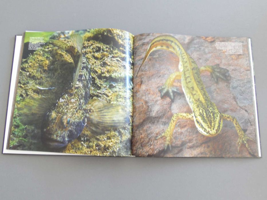 Livro Hyper Nature