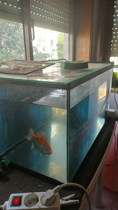 Vendo aquario com filtro externo