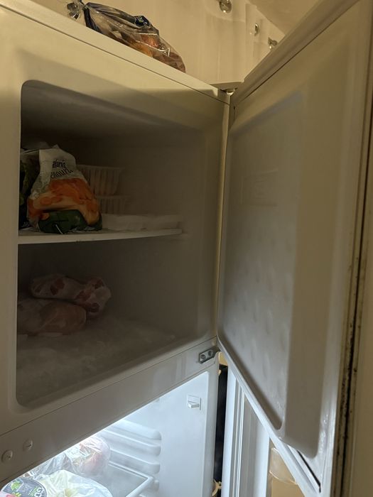 Frigorifico ano 2025