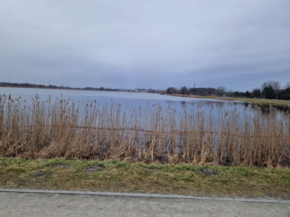 Pokoje nad Siedleckim Zalewem