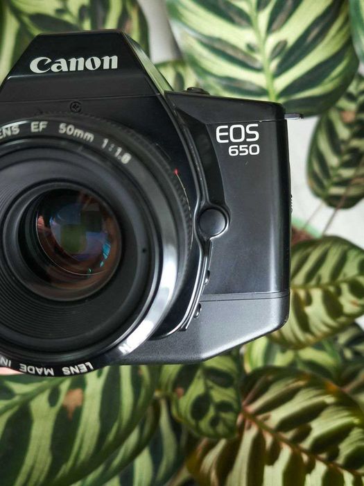 Фотокамера Canon EOS 650 з Обєктивом Canon EF 50mm f/1.8