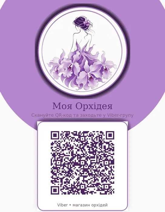 Орхідея Dgmra. Winter Wonderland ‘White Fairy’ та білі катлеї