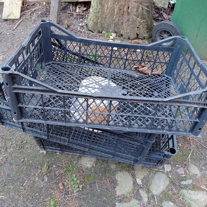 Skrzynki plastikowe