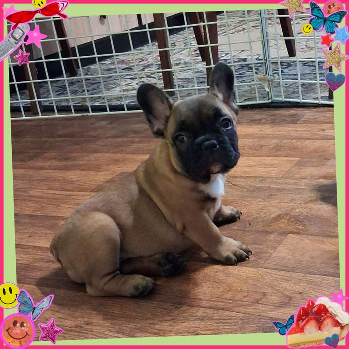 Енергійні малята