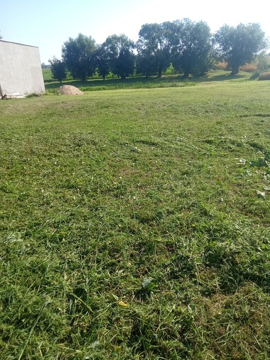 Wynajmę działke z pomieszczeniem gospodarczym