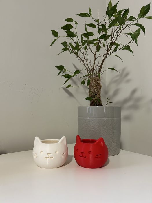 Vaso para suculentas