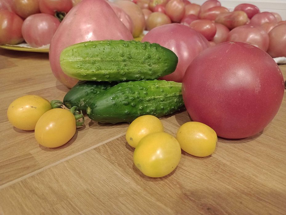 Świeże Warzywa na Zdrowie