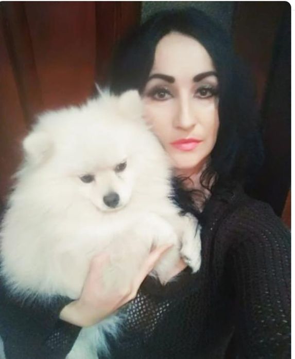 Продається хлопчик міні шпіців