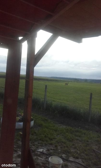 Działka rekreacyjna w pobliżu jeziora Lewinko - pow. 1,547 m² - Widok 3