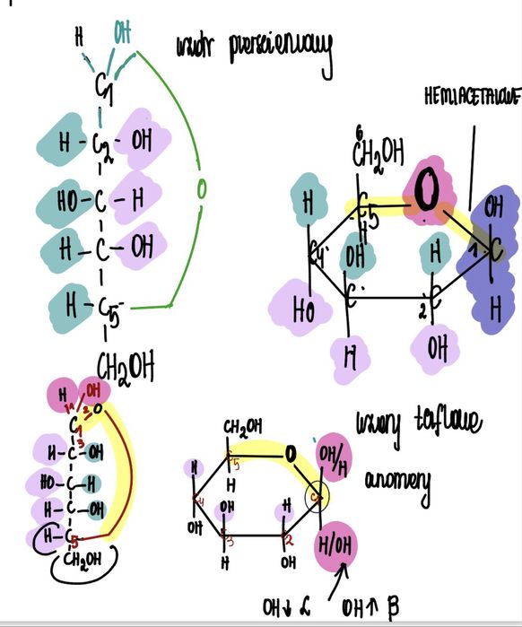 korepetycje chemia/ biologia