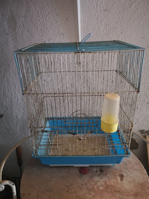 Gaiolas para pássaros