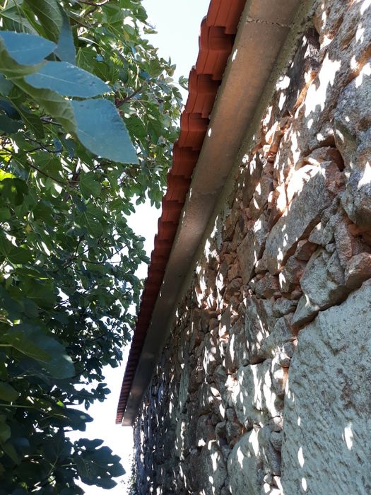 Vendo terreno e casa em Armamar, Queimada