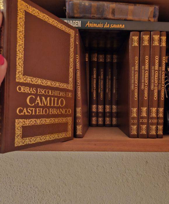 Coleção completa de Camilo Castelo Branco