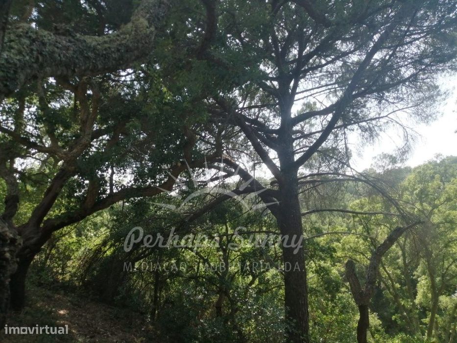 Terreno Misto - 9,975 Hectares — São Francisco da Serra, Setúbal