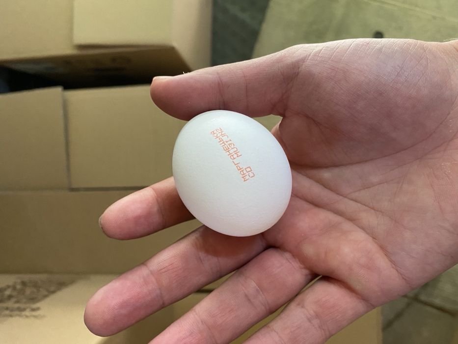 Куриное яйцо  фабрика марганец