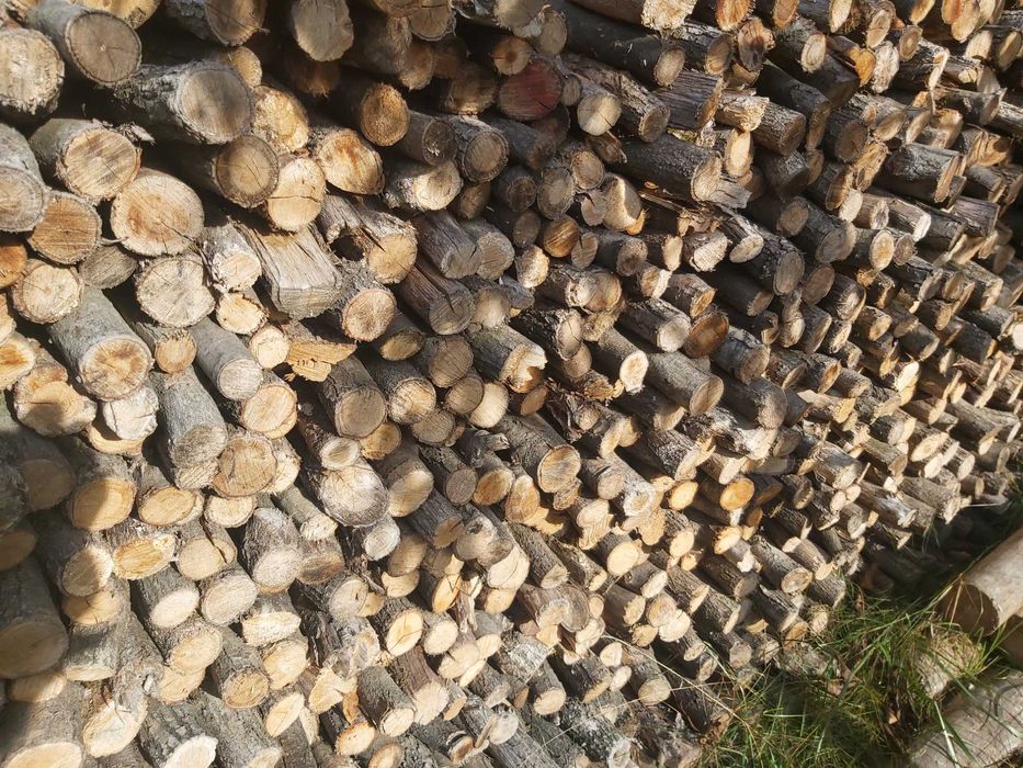 dąb kominkowy suchy drobny gałęziówka