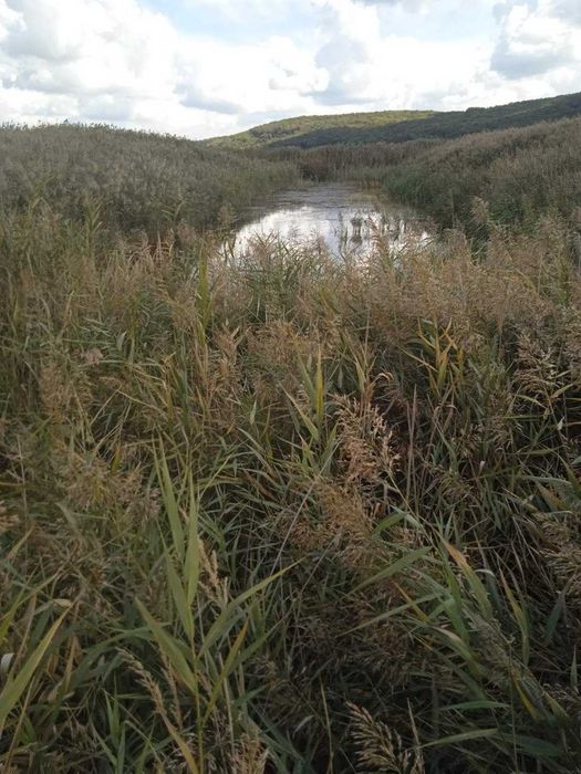 Продаж земельної ділянки неподалік від Івано-Франківська_N