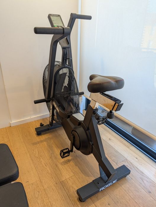 Rogue Echo Air Bike