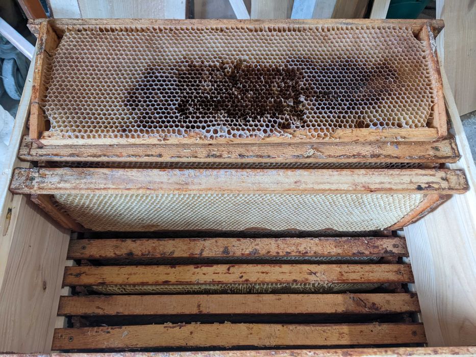 Суш дадан 300мм, магазинка 145мм